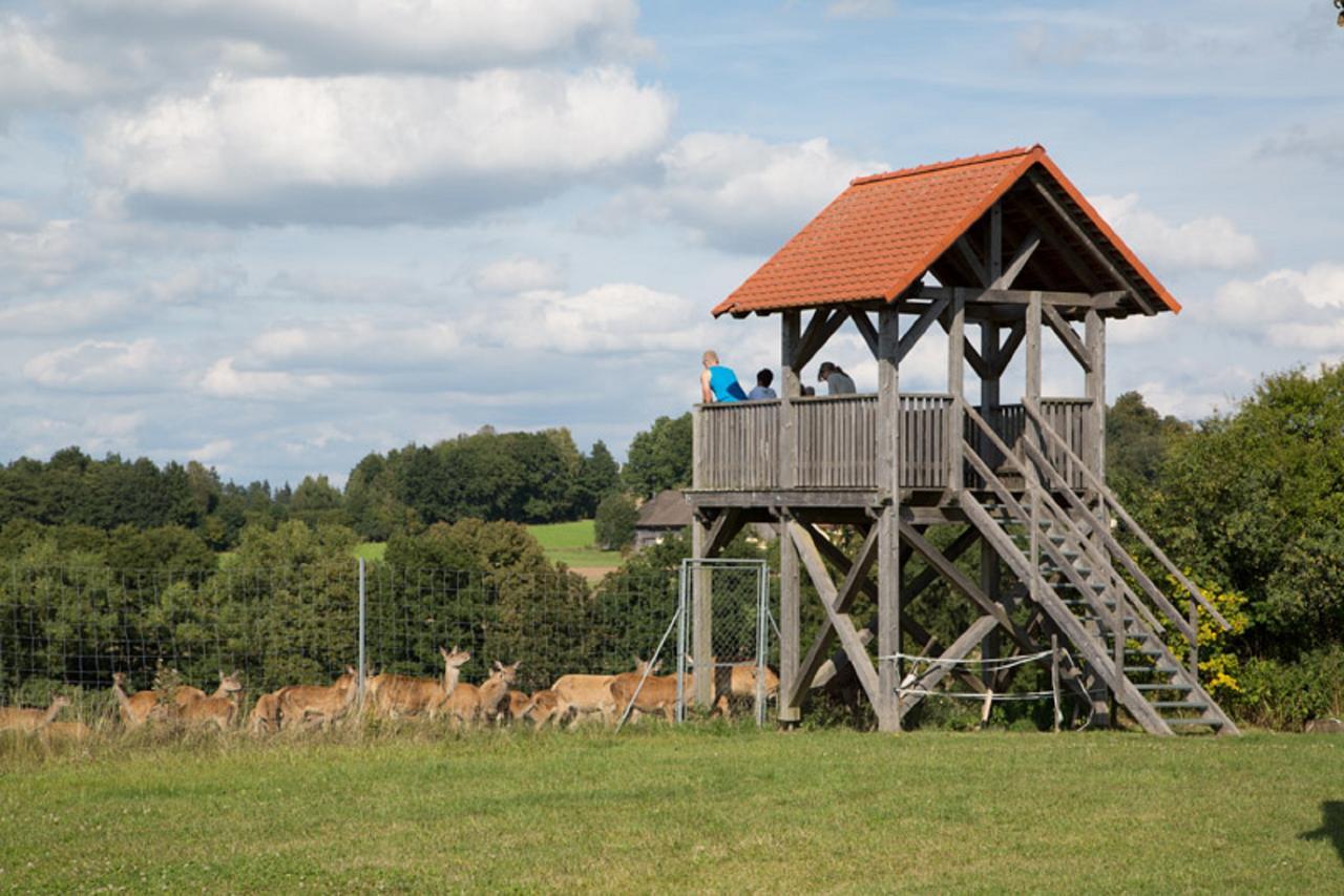 Apartmán Scheidlerhof Theisseil Exteriér fotografie